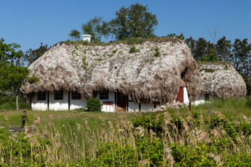 Historisches Tanghaus mit Seetang auf dem Dach auf der dänischen Insel Laesoe.	