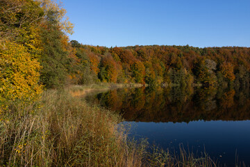 Peak autumn foliage at the beautiful Ukleisee lake.