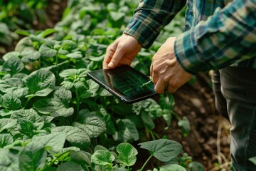 Obraz premium A person sitting in a field holding a tablet computer, possibly working or playing