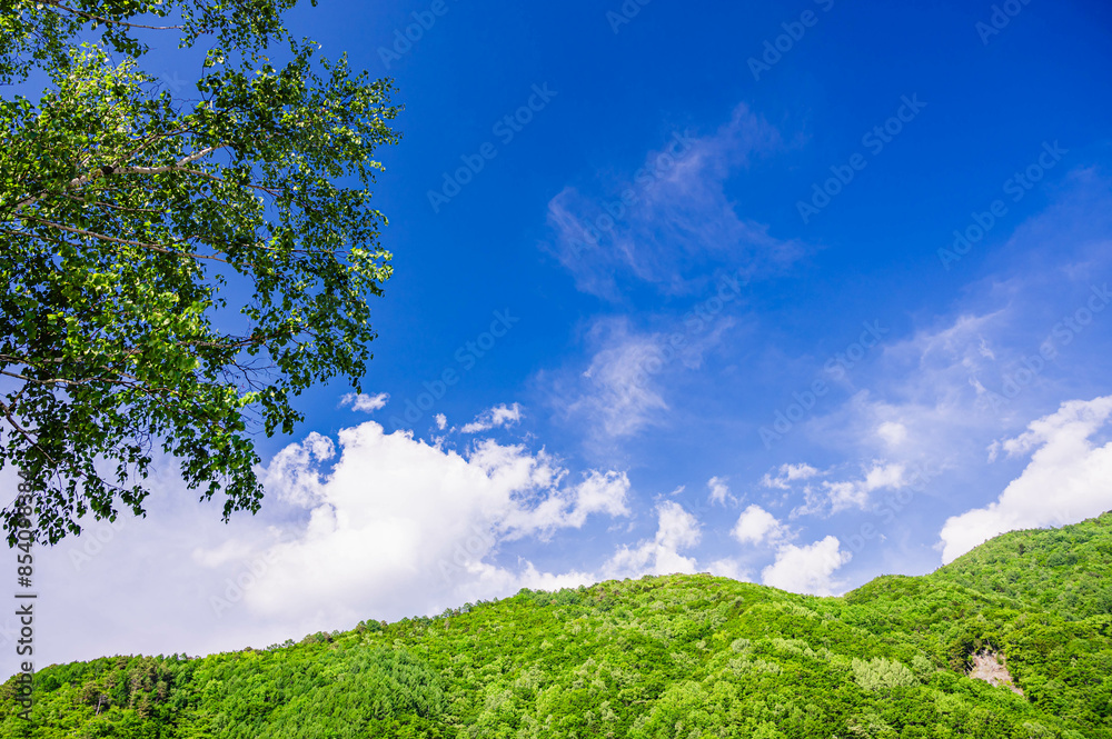 Poster 新緑の山と青空