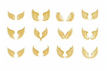Obraz premium Wings flat icon, angel wings emblem, bird feathers minimal silhouette, pigeon sign, spirituality symbol