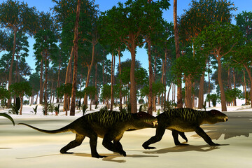 Doliosauriscus Therapsid Animals - Doliosauriscus is an extinct genus of therapsid carnivorous animal that lived in Russia in the Permian Period.