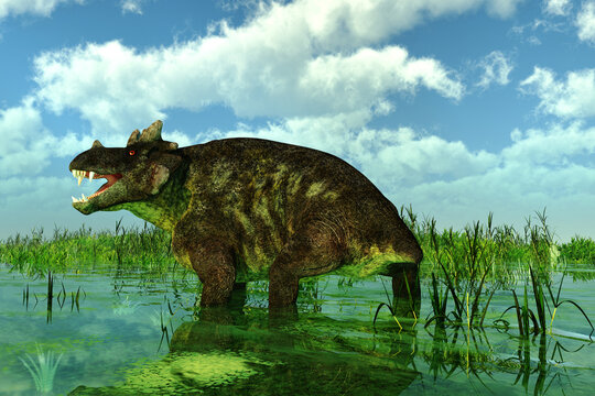 Estemmenosuchus in Swamp - Estemmenosuchus uralensis was an omnivorous therapsid animal that lived in the Permian Period of Russia.