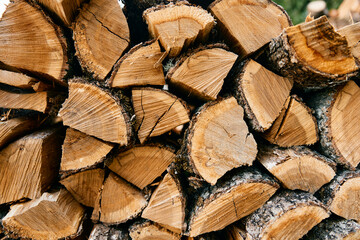 rustic woodpile nestled against lush greenery, creating a serene natural backdrop