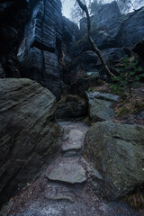 Fototapeta premium Gloomy and totally moody path lost in the foggy rocks with the best dark and mystic atmosphere in the north of Bohemia.