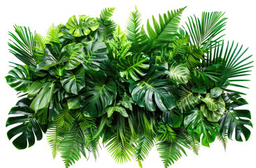 Full frame tropical leaf composition