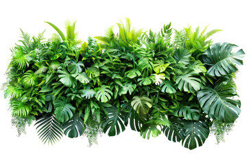 Obraz premium Lush green tropical plants arrangement