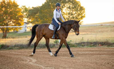 English Horse Rider riding bay horse wearing helmet