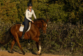 Women equestrian riding english bay horse