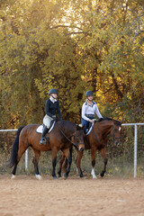 Horse trainer instructor equestrian student rider riding lessons