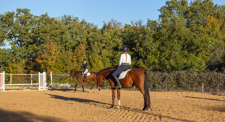 Horse trainer instructor equestrian student rider riding lessons