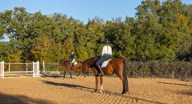 Horse trainer instructor equestrian student rider riding lessons