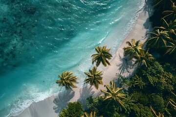 Beautiful view of the beach with the palm trees