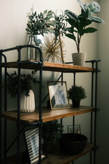 luxury living room shelf