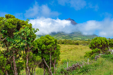 Naklejka premium Green landscape with Pico mountain with clouds, Pico island in the Azores archipelago.
