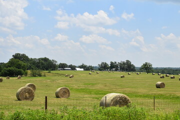 Hay Bales in a Farm Field