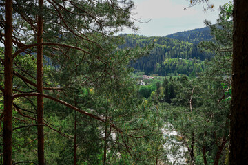 the forest of the mountain. Rocks nestled in between foliage, scene of a beautiful landscape of a woodland.