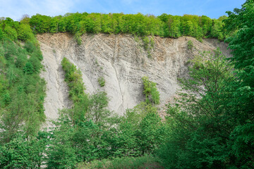Fototapeta premium a view of the cliff in the forest
