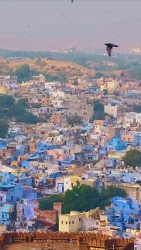 Houses of famous Jodhpur the Blue City and birds flying above brahmin houses, view from Mehrangarh Fort, Rajasthan, India.