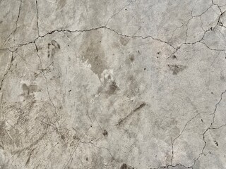 Beige Crack concrete texture surface background.
