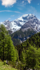 Obraz premium Summer Stelvio Pass (Italy)