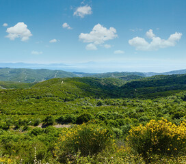 Obraz premium Summer view from top of the hill (Greece)