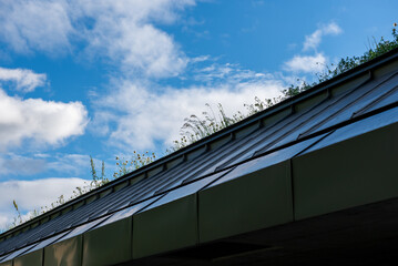 Obraz premium Cirrostratus is a high-altitude, very thin, generally uniform stratiform genus-type of cloud.