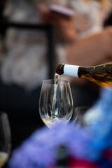 Wine tasting. Sommelier pours wine into a glass