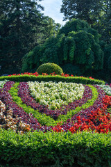 Lush flowers, trees and bushes in a public park in summer