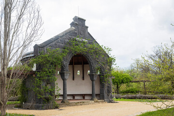 Berlin Botanical Garden, pavilion covered with wild grapes.