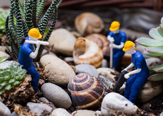 People working with coffee and snails