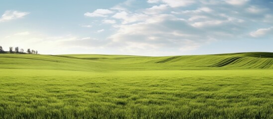 Obraz premium Rolling Green Hills Under a Cloudy Sky