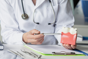 Doctor shows the structure of teeth and gums .