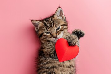 A cute kitty with a paper heart in its paws on a pink background with a copy of the space