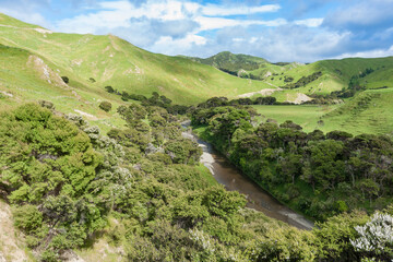 Bush lines river through hill country farmland