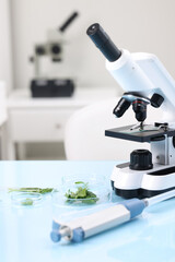 Food quality control. Microscope, petri dishes with herbs and other laboratory equipment on light blue table