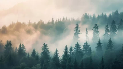 Sierkussen Mistig bos ethereal foggy morning in misty mountain forest landscape photography  © Jelena