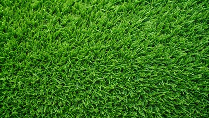 green grass texture background
