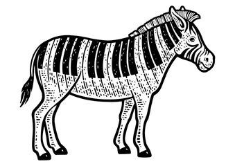 zebra with piano keys instead of stripes line art sketch engraving PNG illustration. T-shirt apparel print design. Scratch board imitation. Black and white hand drawn image.