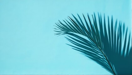 Obraz premium Abstract shadow of a single palm leaf on a light blue wall background. Empty space for copy and text.