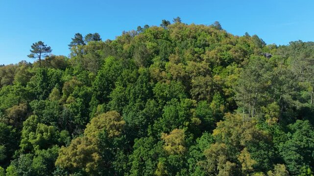 Forest mountains In Rio Avia Nature Park In Ribadavia, Ourense Province, Spain.