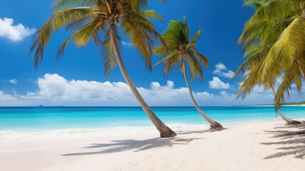 Photograph of a vibrant summer scene with towering palm trees swaying gently in the breeze on a pristine Mexican beach, with turquoise waters and soft white sand