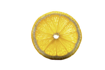 Thin slice of lemon in backlight