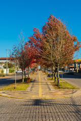 Naklejka premium Sao Francisco de Paula, Brazil - June 2nd 2024: A view of Julio de Castilhos Avenue in Autumn