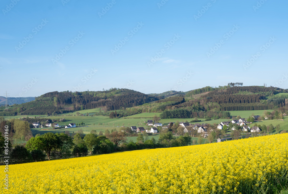 Sticker rapeseed field in german sauerland under cloudy sky in spring