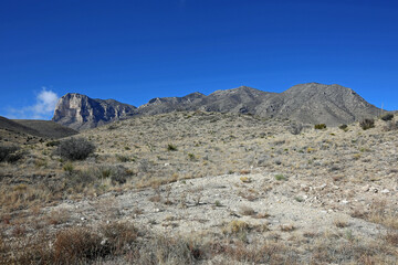 Chihuahuan desert, Texas