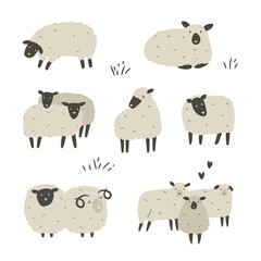 Set of hand drawn cute sheep on white background. Vector illustration of farm animal © danceyourlife