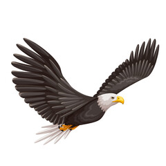 Bald eagle flying, cartoon bird of prey. Flight and soaring of sea eagle to hunt and feed, predatory mascot. Cartoon predator with sharp talons, strong wings and curve beak vector illustration