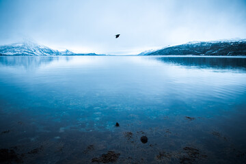 misty morning on the lake