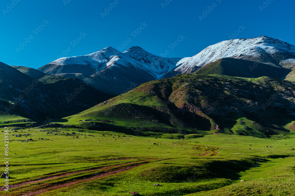 Canvas Prints Picturesque mountain landscape with snow peaks in summer